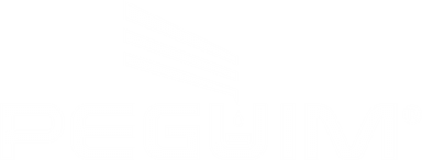 Peguim
